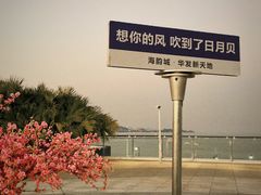 -野狸岛