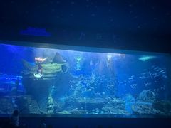 -多彩贵州城极地海洋世界