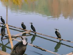 -长兴太湖图影湿地文化园