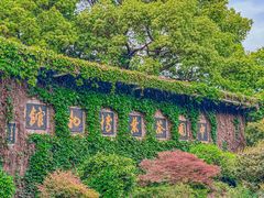 -野蔓果·山野菜(西湖景区·龙井茶田店)