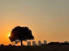 -无锡新湖铂尔曼大酒店