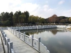 -范蠡湖公园