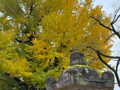 -医王山·飞騨国分寺