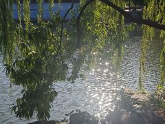 -水绘园