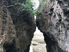 -鹅銮鼻公园