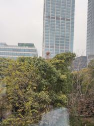-上海首尔丽格医疗美容医院