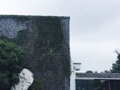 -八大山人梅湖景区