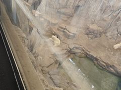 -西安曲江海洋极地公园