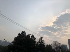 -合肥丰大国际大酒店
