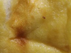 -奈雪的茶(中粮祥云小镇店)