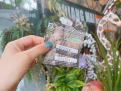 -清迈夜间动物园