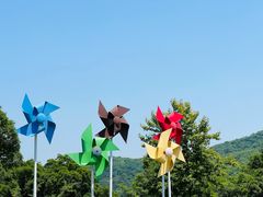 -老山国家森林公园