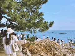 -青岛第二海水浴场