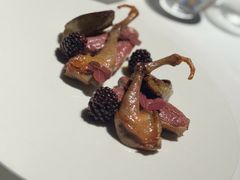 -Oyster Talks 四度蚝法餐厅