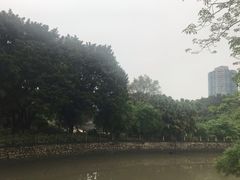 -晓港公园