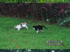 -广州珠江公园
