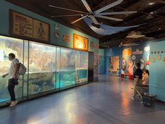-海合安武汉极地海洋公园
