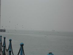 CIMG0268-栈桥景区