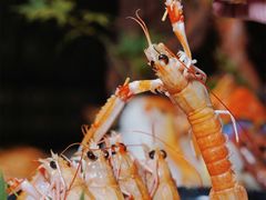 -上井料理黑金店(IFS国金中心店)