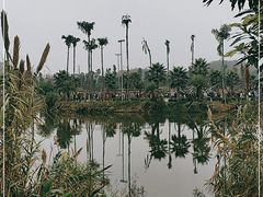 -枫香湖儿童公园