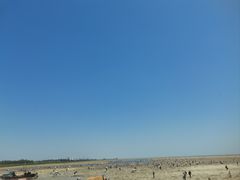 -北海金海湾红树林生态旅游区