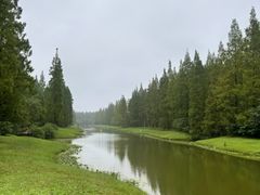 -黄海国家森林公园