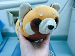 -北京中西医结合医院