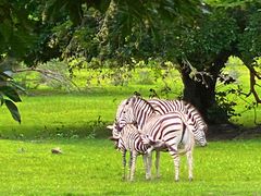 -卡塞拉自然公园