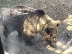 -苏州上方山国家森林公园