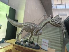 -惠州科技馆