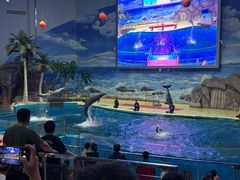 -福州罗源湾海洋世界旅游区