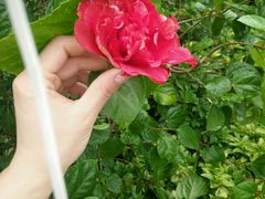 -乐享养生(东湖店)