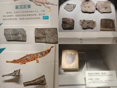 -柳州白莲洞洞穴科学博物馆