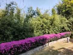 -中国移动南方基地