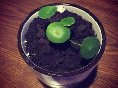 84那年·咖啡生活馆-84那年咖啡馆(李沧万达店)
