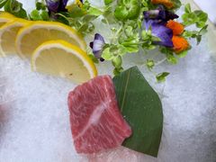 -五棵树•粤西高凉菜(琶洲店)