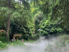 -兰溪地下长河
