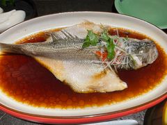 清蒸鲈鱼-北平盛世·新京菜·北京烤鸭(劲松·双井店)