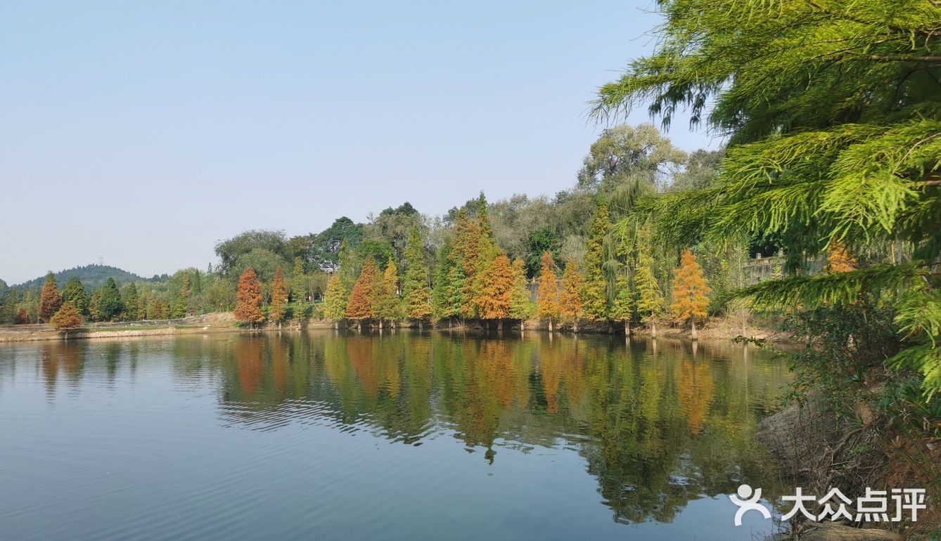 玉湖山公园