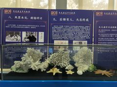 -上海海洋大学鱼文化博物馆(军工路校区)