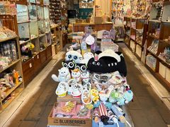 -猫咪博物馆(顶澳仔猫街店)