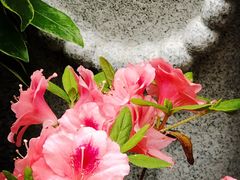 -星云文教馆
