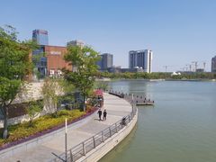 -映月湖中央公园