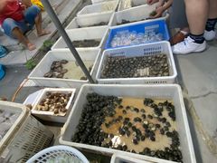 -华声天桥民俗文化园