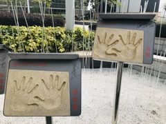 -星光大道