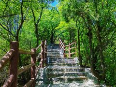-神农山景区