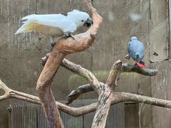 -大连森林动物园