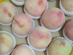 -老袁家蜜桃农场·阳山水蜜桃