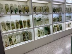 -北京中医药大学-中医药博物馆