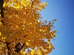 -中关村生命科学园